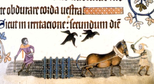 Lutrell's psalter, Farming works, ploughing