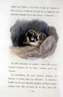 Dead lover, Lithograph after A. P. Laurens