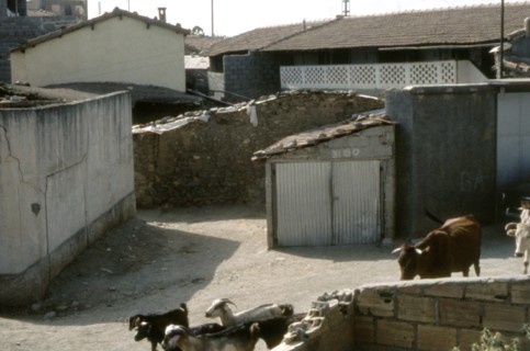 The house where the calls of November 1, 1954 were duplicated (War in Algeria)