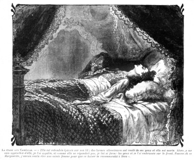 The Lady of the Camelias. Illustration