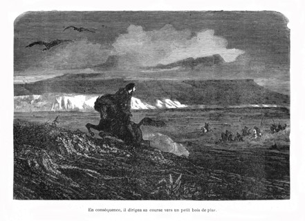 A Gil Blas in California