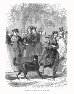 Black: The Story of a Dog