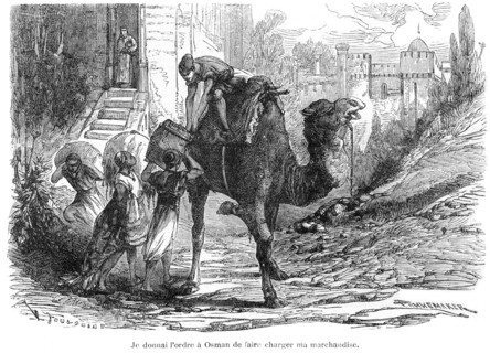L'Arabie heureuse
