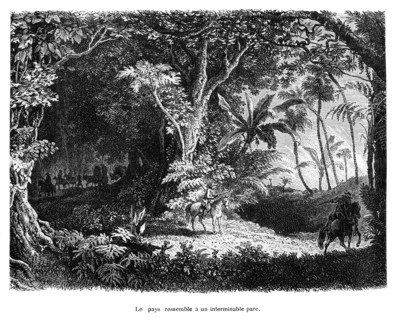 La vie au désert