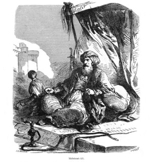Quinze jours au Sinaï