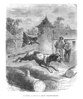 Dumas, 'Histoire de mes bêtes'