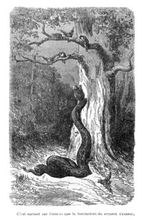 Dumas, 'Les serpents'