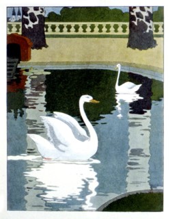 Swans