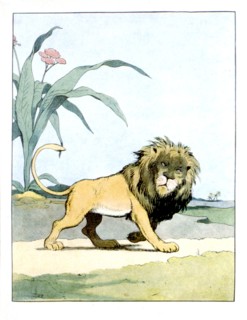 Lion