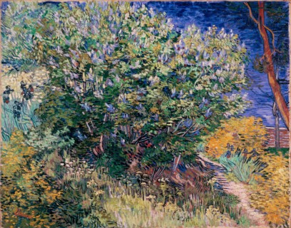 Van Gogh, Lilas