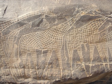 Rock engravings - Niger - giraffes