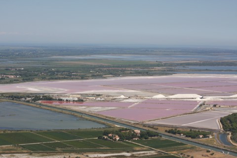 Les Salins du Midi