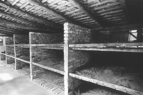 Couchettes à Auschwitz