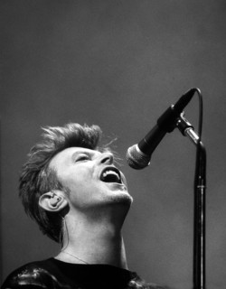 David Bowie