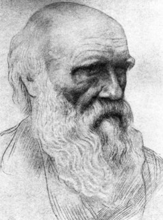 Portrait de Charles Darwin