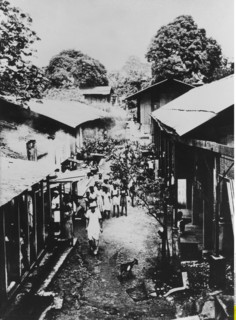 Albert Schweitzer dans son hôpital de Lambaréné