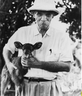 Albert Schweitzer