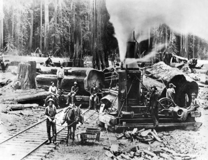 Bûcherons dans l'Oregon