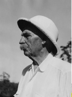 Albert Schweitzer
