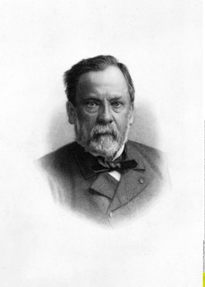 Louis Pasteur
