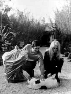 Bardot, Brigitte *28.09.1934-
Schauspielerin, Frankreich

- streichelt mit Ehemann Gunter Sachs