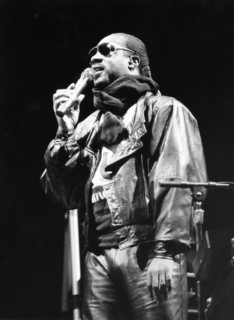 Wonder, Stevie - Musiker, USA