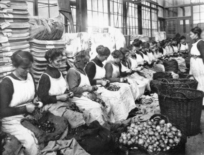 Femmes au travail dans une usine de conserves