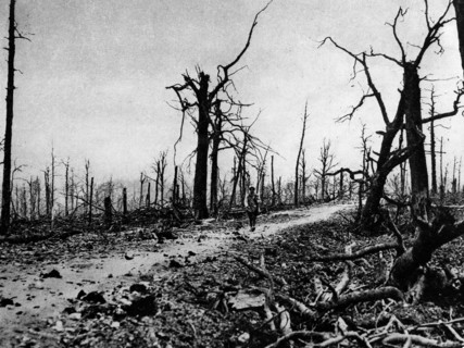 Bataille de Verdun
