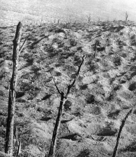 Champ de bataille de Verdun