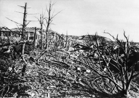 Bataille de Verdun, 1916