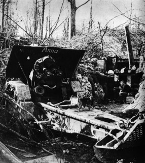 Bataille de Verdun, 1916