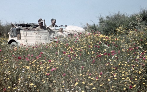 2. WW, North Africa, Thester of war