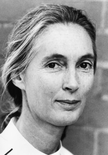 Jane Goodall