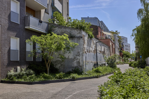 Végétalisation à Saint-Denis