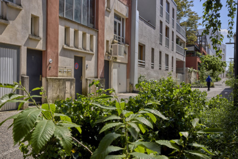 Végétalisation à Saint-Denis