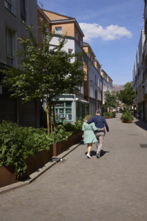 Végétalisation à Saint-Denis