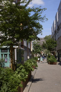 Végétalisation à Saint-Denis