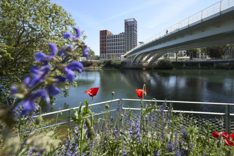 Végétalisation à Saint-Denis