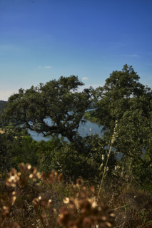 Vacances en Algarve