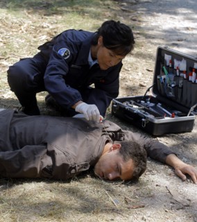 Section de recherches (série TV)