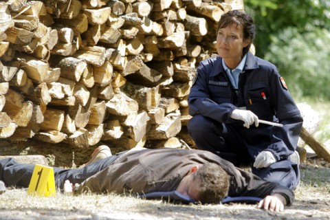 Section de recherches (série TV)