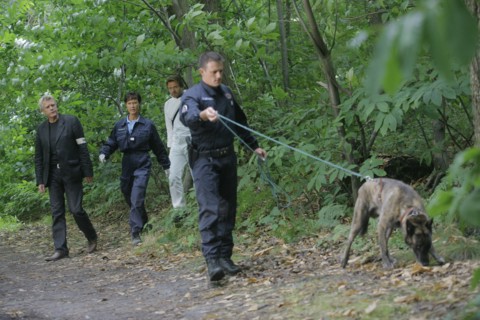 Section de recherches (série TV)