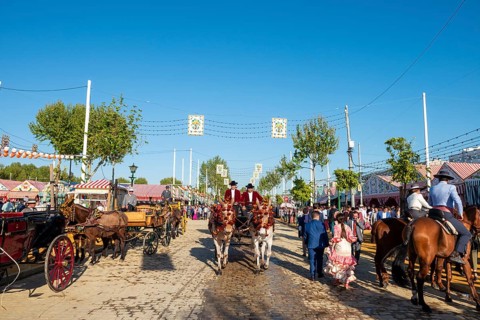 Adorned horse-drawn carriage in front of Casetas