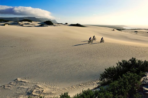Mountain biking with fat bikes on sand dunes