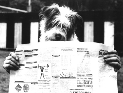 Dog reads newspaper ca. 1970s