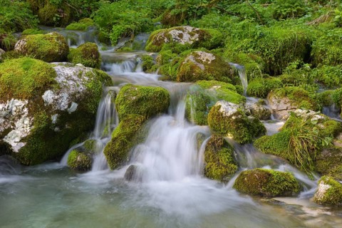 A small mountain stream flows into the river Lepena