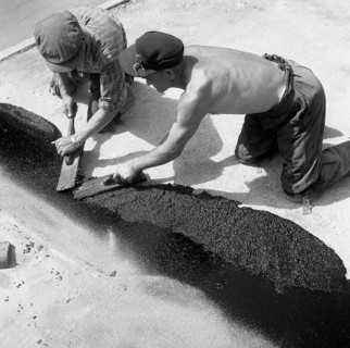 Road workers tar a road