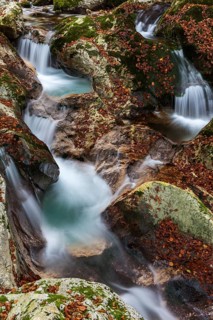 River course of the Lepenica river in autumn