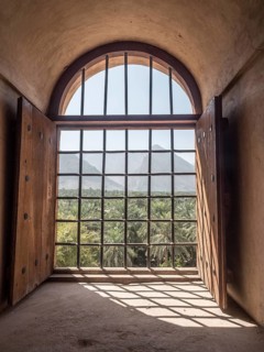 View from barred window to palm oasis
