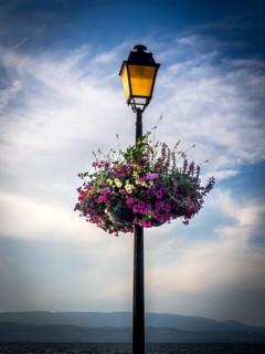 Decorative basket of flowers hanging on a street lamp